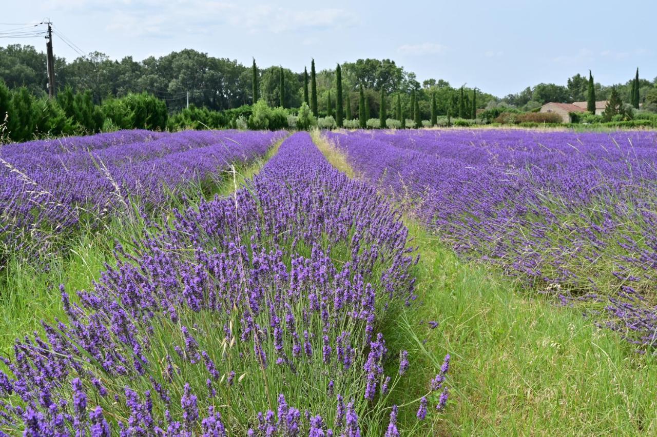 Gite De Charme "Puisneuf" Proche De Uzes Villa Flaux Kültér fotó