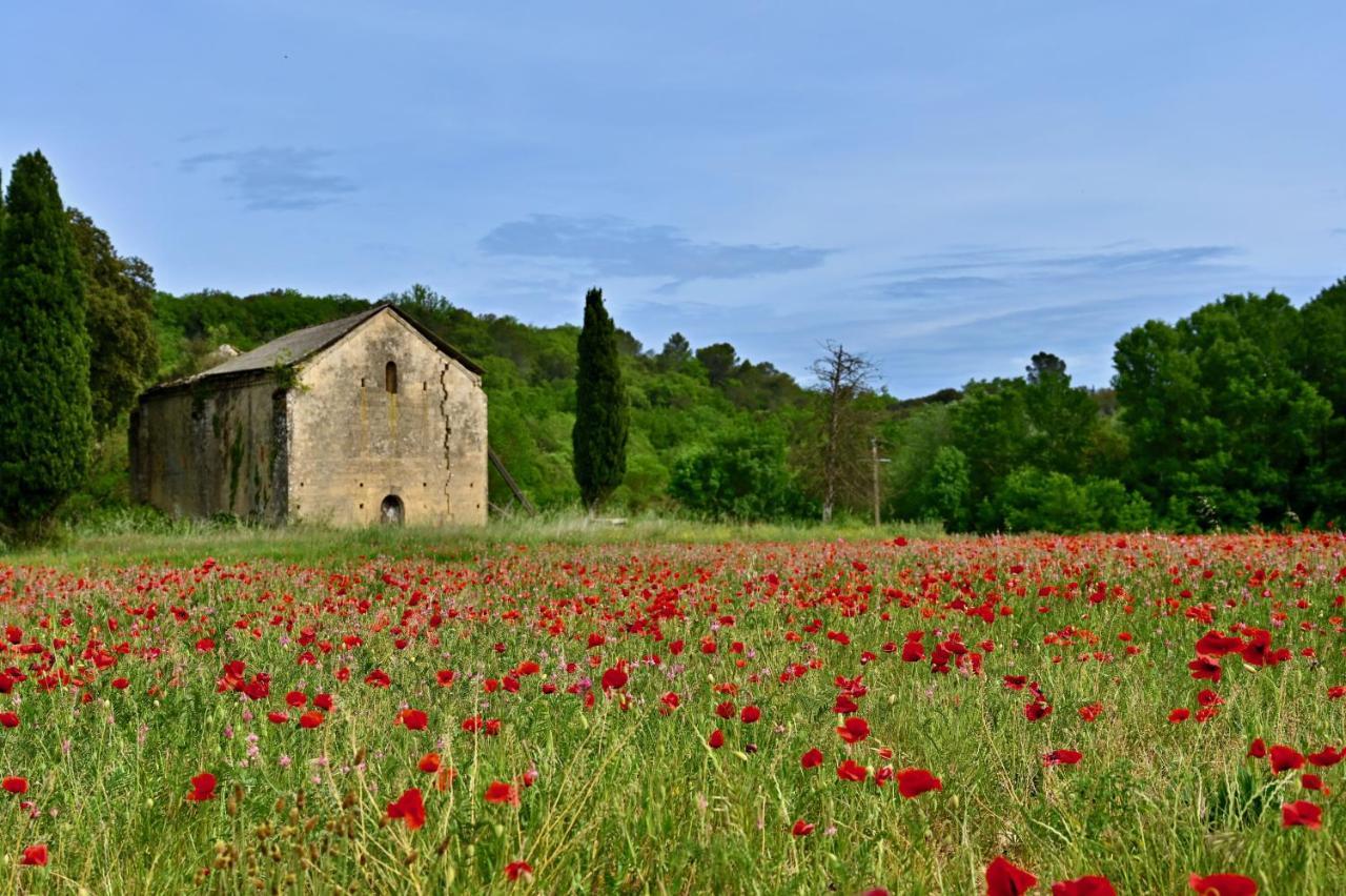 Gite De Charme "Puisneuf" Proche De Uzes Villa Flaux Kültér fotó